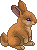 unnamed Lepus