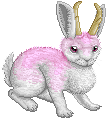 unnamed Christmas Bunny