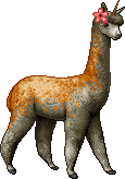 Drama Llama