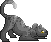 Shadepaw of ShadowClan