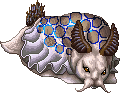 F - Blue-Ringed Sea Bunny