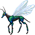 M - Iridescent Horsefly