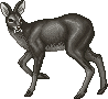 Wald All things deer