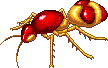 Golden Plated Fire Ant