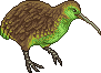 Kiwi