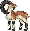 Ibex