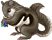 Forest Dormouse