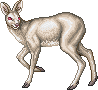 unnamed Cervinus Deer LWM