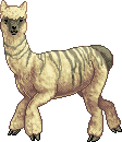 unnamed Drama Llama