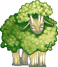 Porfirio the Broccosheep