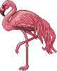 unnamed Pink Flamingos