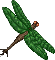 F - Wooden Dragonfly