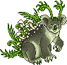 Forest Koala