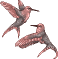 unnamed the Crashbirds