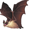 Camazotz